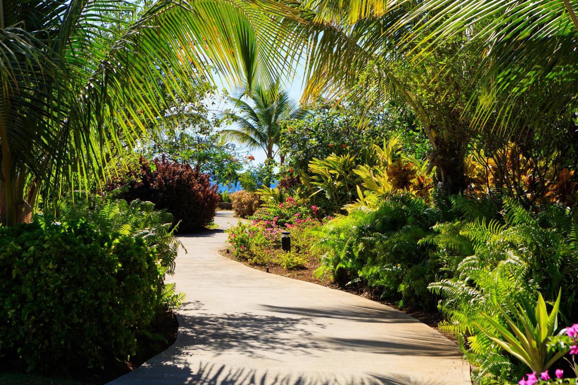 Intercontinental Dominica Cabrits Resort & Spa By Ihg Πόρτσμουθ Εξωτερικό φωτογραφία